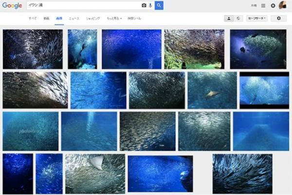 ホーチミンでを目撃せよ！イワシの渦のごときバイクの大群