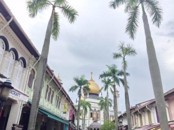 シンガポールのアラブストリートでエキゾチックなお土産を探そう