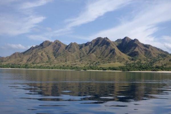 インドネシアの珍獣 “コモドドラゴン” を見に行こう！