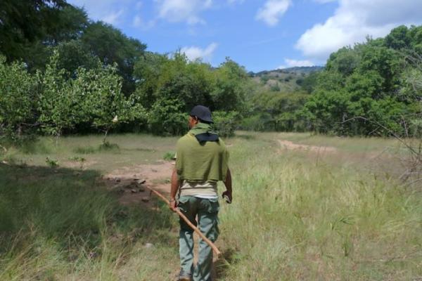 インドネシアの珍獣 “コモドドラゴン” を見に行こう！