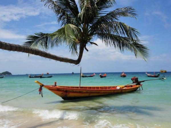 初心者からOK！魚影濃厚＆ジンベエザメも狙える「タオ島」