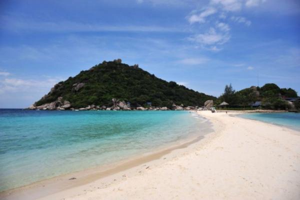 初心者からOK！魚影濃厚＆ジンベエザメも狙える「タオ島」