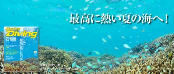 初心者からOK！魚影濃厚＆ジンベエザメも狙える「タオ島」