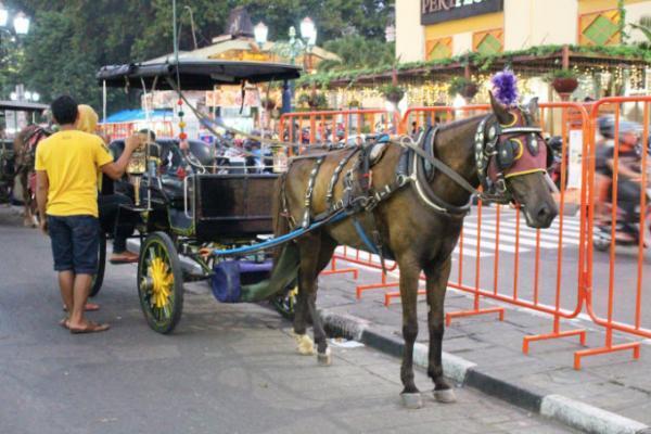 ジョグジャカルタの目抜き通り「マリオボロ通り」
