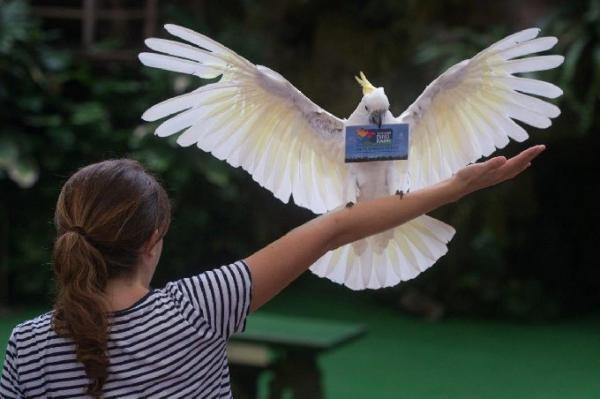 祝45周年！シンガポール「ジュロン・バード・パーク」で記念イベント