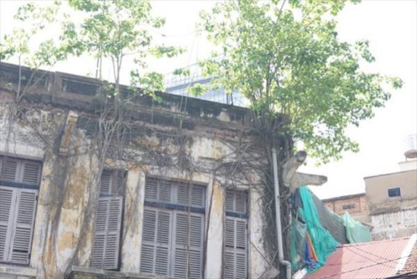 知られざる魅力！「ベトナムの二階」は遊び心が満載だ。