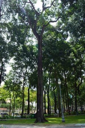 知られざる魅力！「ベトナムの二階」は遊び心が満載だ。