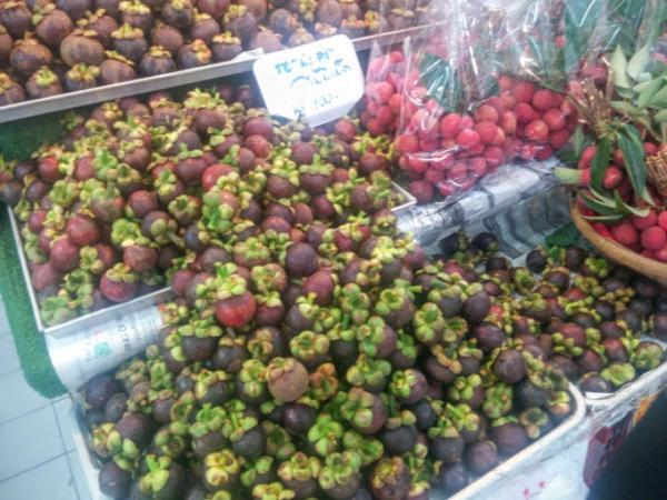 バンコクの高級市場！「オートーコー市場」を散策しよう