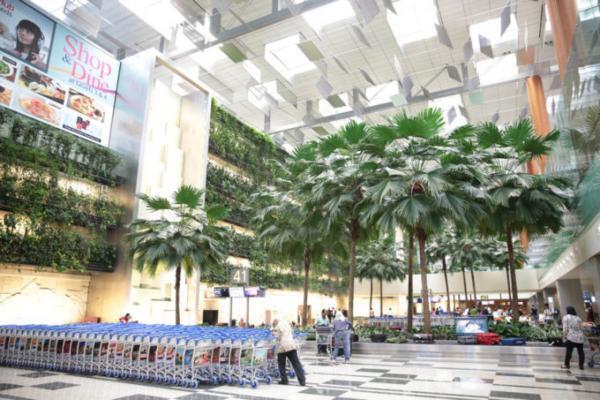 初めての子連れ海外旅行はシンガポールで決まり！