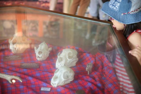 熱帯ジャングルのアニマルパラダイス！シンガポールは動物園が楽しい