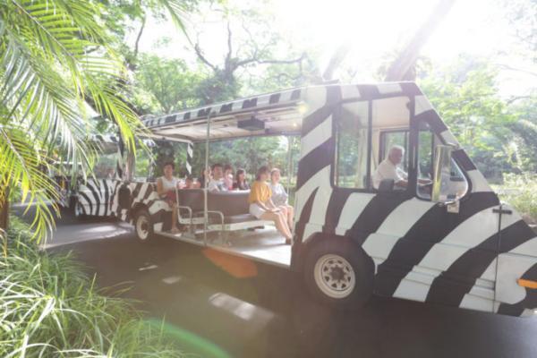 熱帯ジャングルのアニマルパラダイス！シンガポールは動物園が楽しい