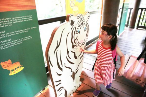 熱帯ジャングルのアニマルパラダイス！シンガポールは動物園が楽しい