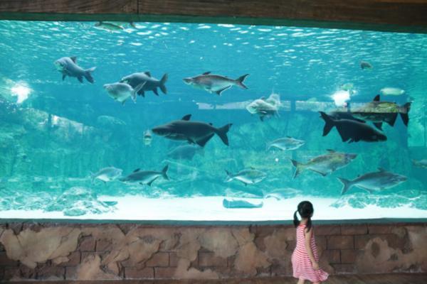 熱帯ジャングルのアニマルパラダイス！シンガポールは動物園が楽しい