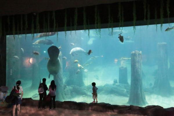 熱帯ジャングルのアニマルパラダイス！シンガポールは動物園が楽しい