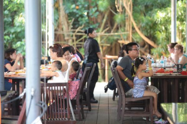 熱帯ジャングルのアニマルパラダイス！シンガポールは動物園が楽しい