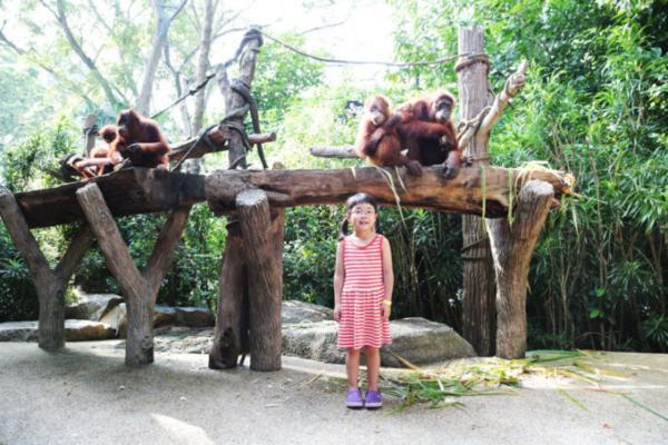 熱帯ジャングルのアニマルパラダイス！シンガポールは動物園が楽しい