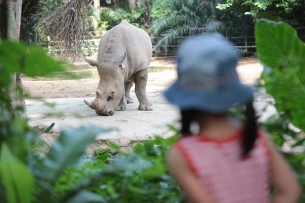熱帯ジャングルのアニマルパラダイス！シンガポールは動物園が楽しい
