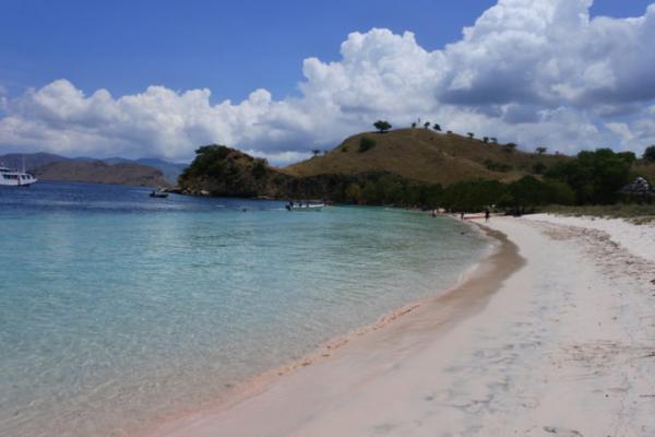 ドラゴンだけじゃない、コモドのピンクサンド＆絶景ビーチ！