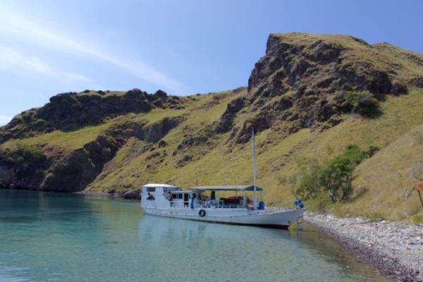 ドラゴンだけじゃない、コモドのピンクサンド＆絶景ビーチ！