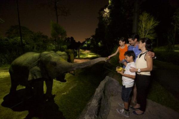 シンガポール家族旅行で外せない！熱帯ジャングルの動物園巡り