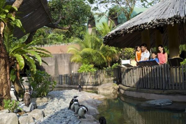 シンガポール家族旅行で外せない！熱帯ジャングルの動物園巡り