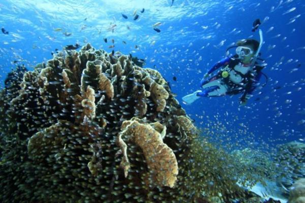 2度目のバリ島ダイビングなら、ムンジャンガン島へ！