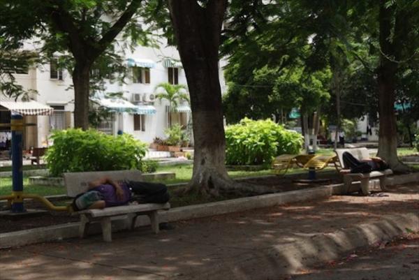 まるで箱庭？チュンクー（団地）で眺めるベトナムローカルの暮らし