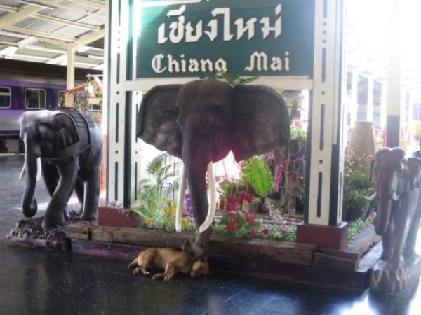 まもなく終焉？タイで活躍する日本のブルートレイン