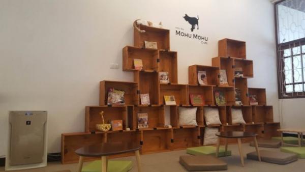 たくさんの猫がお出迎え！バンコク猫カフェ「Mofu Mofu cafe」