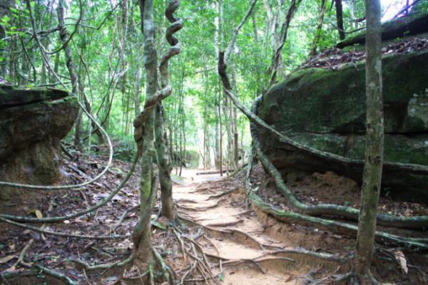 世界遺産はアンコール・ワットだけじゃない！郊外で見ごたえ抜群な遺跡4つ！