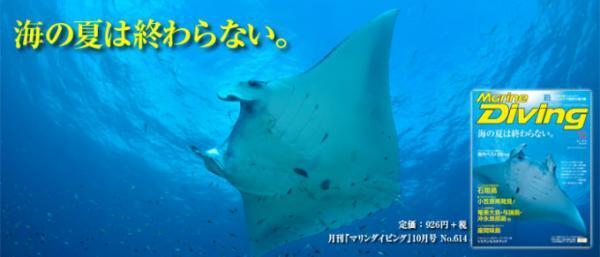 ダイビングもリゾートも、ハイレベルなプーケット