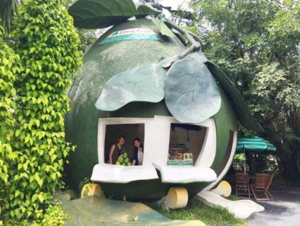 ホーチミンから電車で40分！ザボン村へ行ってみよう