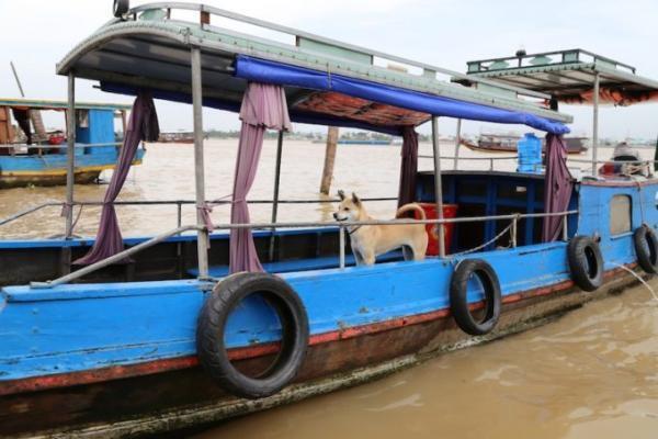 ホーチミンの日帰り大定番ツアー！メコン川クルーズへ