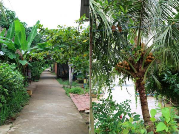 ホーチミンの日帰り大定番ツアー！メコン川クルーズへ