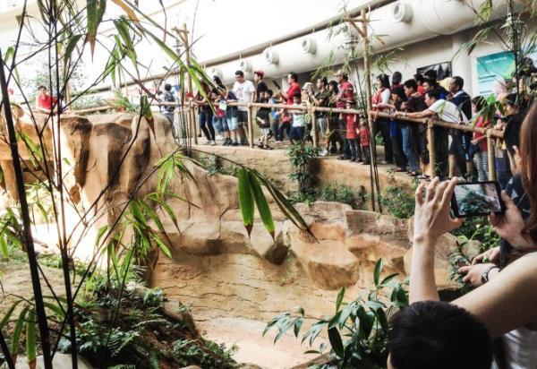 クアラルンプールの国立動物園「Zoo Negara」へ行こう！