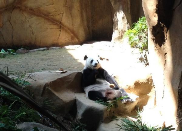 クアラルンプールの国立動物園「Zoo Negara」へ行こう！