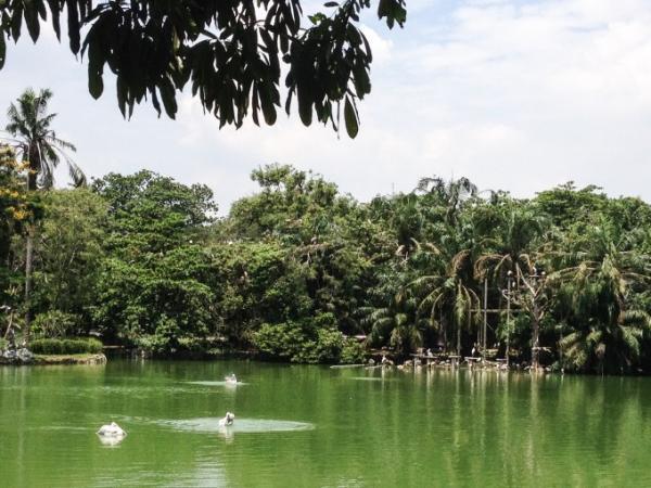 クアラルンプールの国立動物園「Zoo Negara」へ行こう！