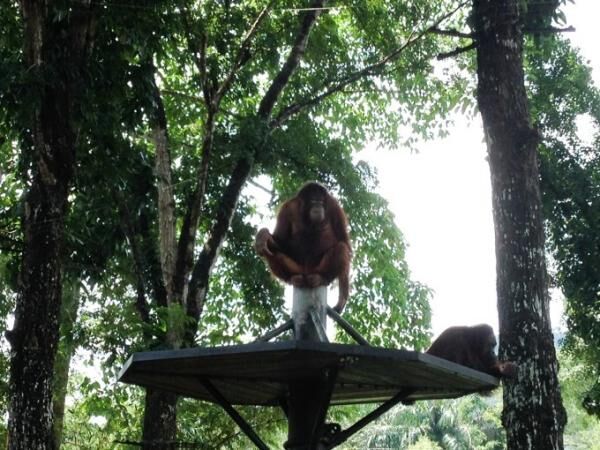 クアラルンプールの国立動物園「Zoo Negara」へ行こう！