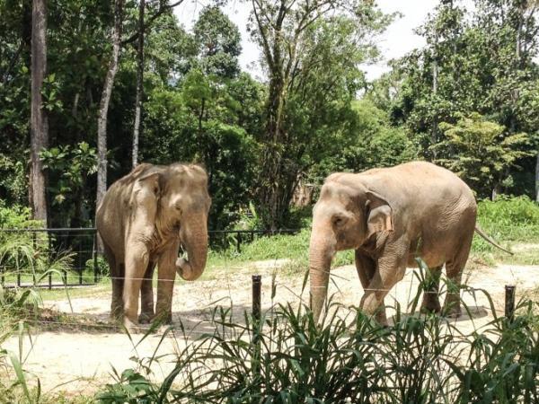 クアラルンプールの国立動物園「Zoo Negara」へ行こう！