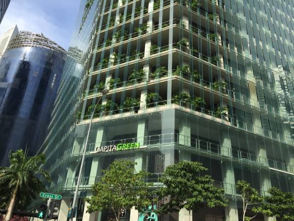 健康志向のビジネスマンに人気！シンガポールで人気のスローフードカフェ