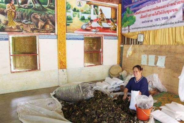 散策するだけで癒される！チェンマイ山岳の小さな村「メーンカンポン村」へ