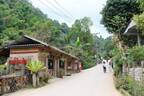 散策するだけで癒される！チェンマイ山岳の小さな村「メーンカンポン村」へ