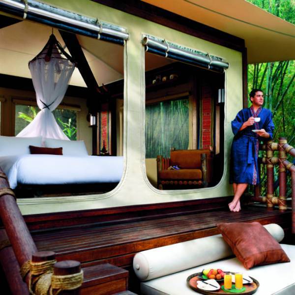 これからオンシーズンのタイの山リゾート、しかも象さんが一緒！