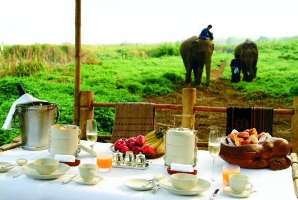 これからオンシーズンのタイの山リゾート、しかも象さんが一緒！