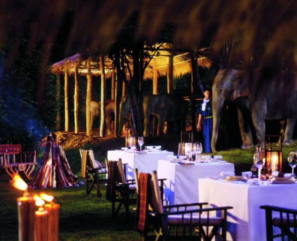 これからオンシーズンのタイの山リゾート、しかも象さんが一緒！