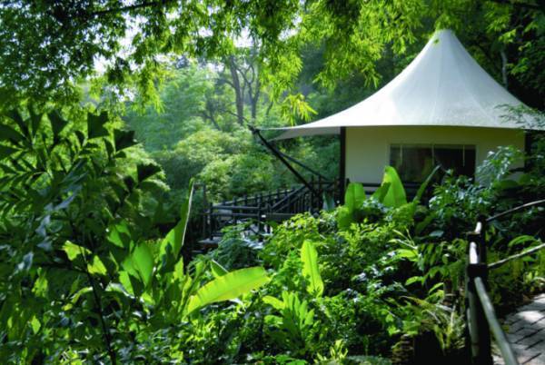 これからオンシーズンのタイの山リゾート、しかも象さんが一緒！