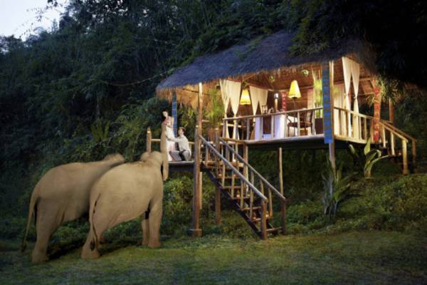 これからオンシーズンのタイの山リゾート、しかも象さんが一緒！