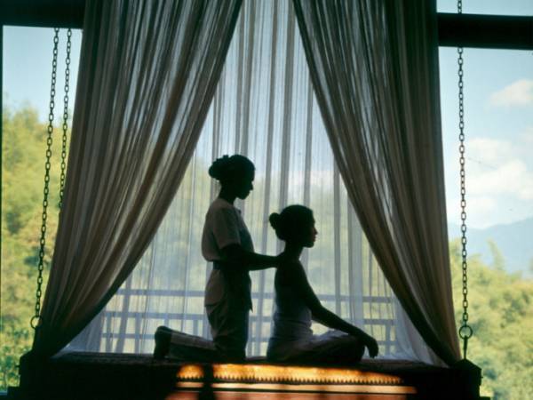 これからオンシーズンのタイの山リゾート、しかも象さんが一緒！