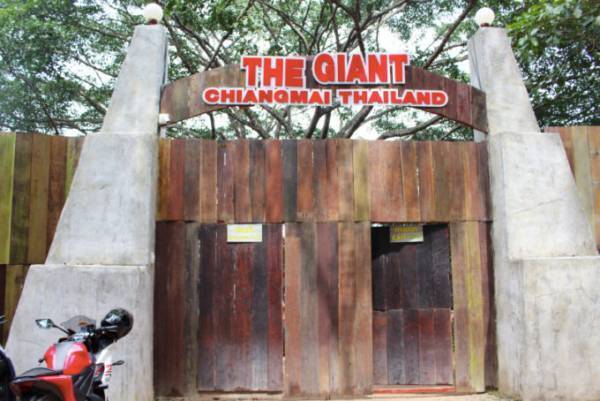 絶景を望む巨大なツリーハウスのカフェ「ザ・ジャイアント・チェンマイ」