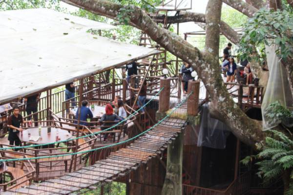 絶景を望む巨大なツリーハウスのカフェ「ザ・ジャイアント・チェンマイ」
